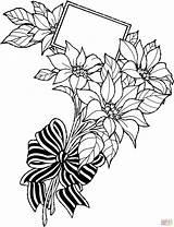 Coloring Pages Drawing Poinsettia Flower Flowers Printable Bunch Drawings Supercoloring sketch template