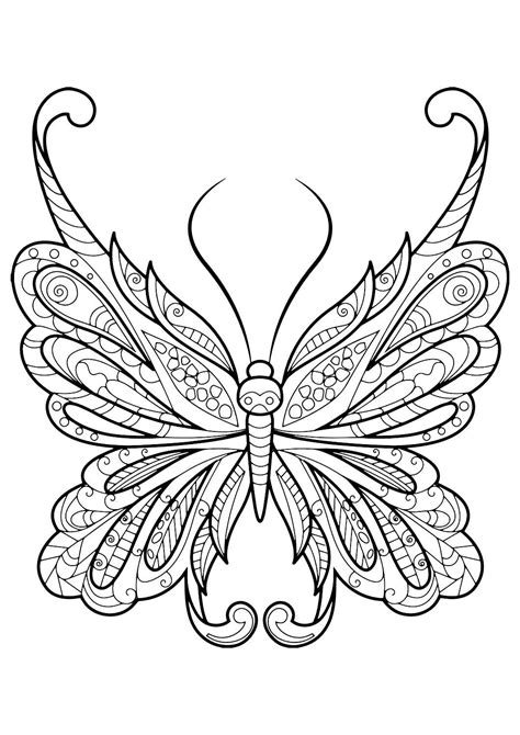 detailed butterfly coloring pages  adults home