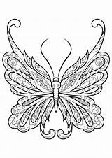 Butterfly Coloring Adults Pages Kids sketch template