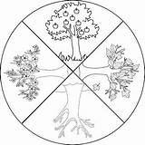 Stagioni Orologio Albero Quattro Anotimpuri Colorat Stampare Kiwi Patru Frutta Maggio Pagini Dada Correlata Nero Festa Asilo Pasticciona Scuola Infanzia sketch template