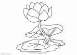 Flower Pond Coloring Pages Lily Water Printable Kids sketch template