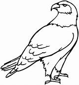 Eagle Coloring Pages Colouring sketch template