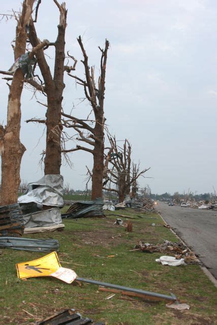 Trees Left After The Joplin Tornado Photo By Amy Laurel Hegy A Tale
