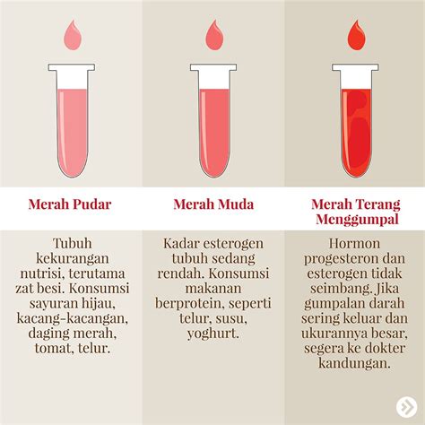 Mengenal Tipe Warna Darah Saat Menstruasi Seperti Apa Yang Normal Hot