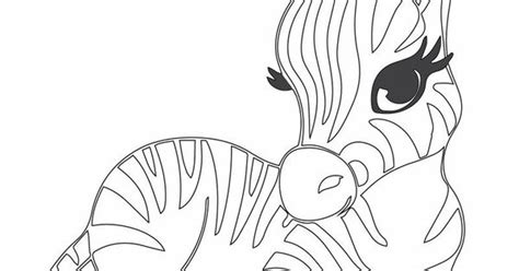 cute baby zebra coloring page  printable coloring pages