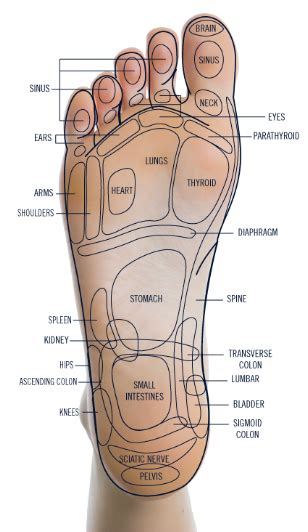 7 Benefits Of Foot Reflexology Why You Need To Get A Foot