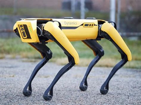 boston dynamics spot mini robot dog   fascinating  terrifying