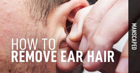 ear hair removal   remove ear hair updated manscaped blog