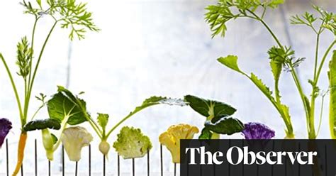 vegetables are the new sex discuss restaurants the guardian