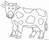 Vache Maternelle Imprimé sketch template