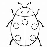 Insectos Insect sketch template