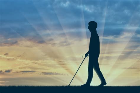 disabled blind   cane  sunset political economist
