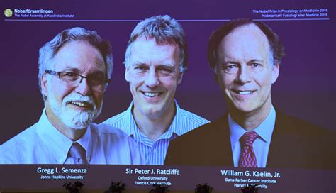 Trio Win Medicine Nobel For Work On How Cells Adapt To Oxygen Punch