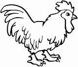 Rooster Chicken Chickens sketch template