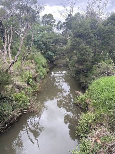 Dandenong Creek Trail Victoria Australia Alltrails