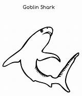 Sharks Coloring Shark Pages Cool Worksheet Super Drawing Thresher Sheet Fish Goblin Teeth Noodle Line Twisty Swim Who Book Clipart sketch template