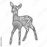 Mandala Deer Coloring Da Colorare Vector Vettoriale Capriolo Bianco Nero Illustration Book Pic Comp Contents Similar Search sketch template