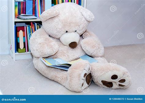 teddy bear reading  book stock photo image  books