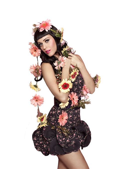 katy perry free png png play