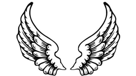 angel wings drawing outline  getdrawings