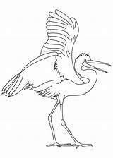 Coloring Egret Bird Great Egrets Drawing Pages Water Birds Bestcoloringpages Getdrawings Drawings Designlooter sketch template