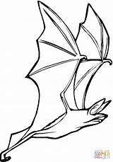 Bat Pipistrello Volo Pipistrelli Flying sketch template