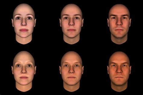 masculine vs feminine features men with feminine faces more likely to