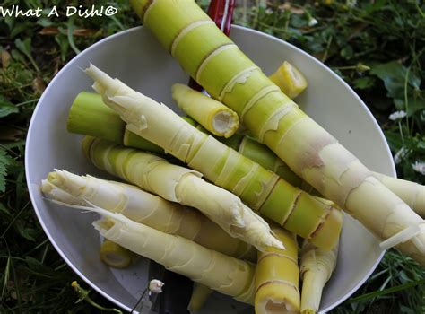 dish fresh bamboo shoot red curry basil stir fry