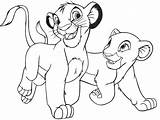 Coloring King Lion Pages Simba Nala Young Kids sketch template