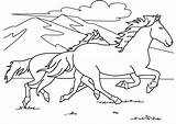 Mustang Horse Coloring Pages Printable Color Getcolorings Print sketch template