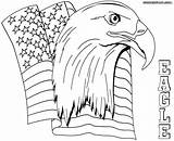Eagle Coloring Bald Pages Drawing Flying Adults Easy American Printable Line Harpy Silhouette Head Getdrawings Getcolorings Adult Realistic Color Colorings sketch template