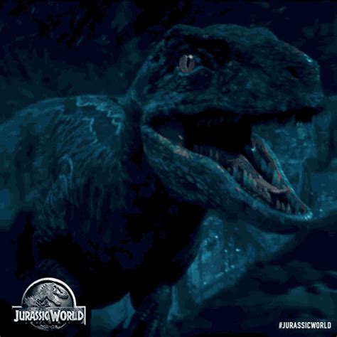 Jurassic World Own It On Blu Ray Oct 20 Run Dont Walk To Get Your