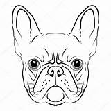 Bulldog French Head Vector Drawing Dog Coloring Pages Sketch Logo Template Icon Bolt Rule Stock Depositphotos Getdrawings sketch template