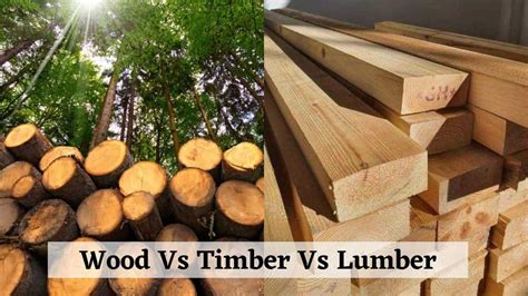 difference  wood  timber