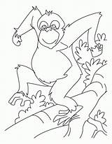Coloring Pages Orangutan Comments Chimpanzee sketch template