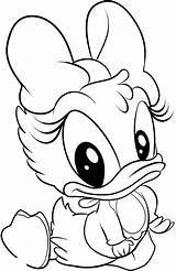 Disney Coloring Baby Duck Daisy Cute Pages Anycoloring Cartoon sketch template