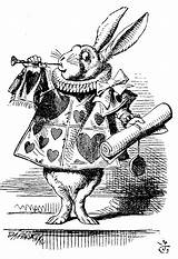 Illustrations Wonderland Alice Rabbit Tenniel Illustration Classic Carroll John Original Adventures Lewis Vintage Little Story Background Trumpet Herald Drawings Clip sketch template
