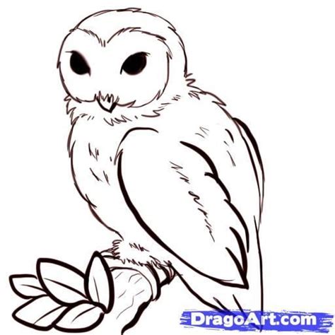 simple owl drawings   draw owls step simple owl drawing owls