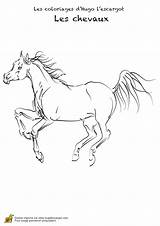 Cheval Chevaux Realistes Realiste Hugolescargot Entrain Escargot Coloriages Partager Horses Dessins sketch template