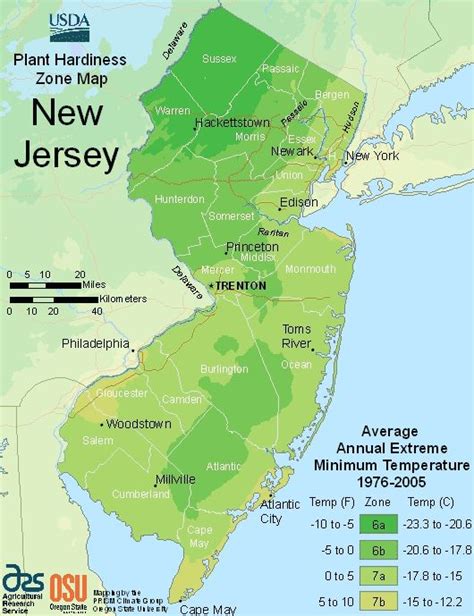 jersey planting zones usda map   jersey growing zones  images planting