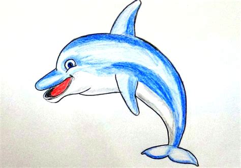 dolphin easy drawing  getdrawings