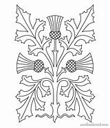 Thistle Embroidery Pattern Stylized Patterns Hand Scottish Drawing Needlenthread Line Needle Flower Crewel Getdrawings Broderie Punch Template Thread Dragon Print sketch template
