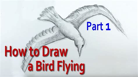 draw  bird flying   sky youtube
