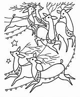 Coloring Pages Christmas Santa Sled Reindeer Library Clipart Pulling sketch template