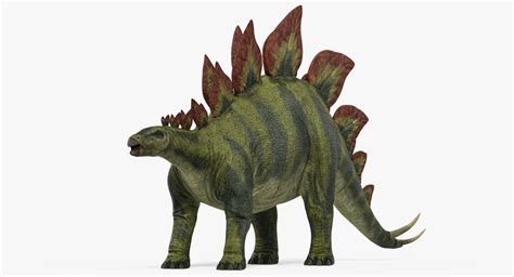 stegosaurus realistic ds