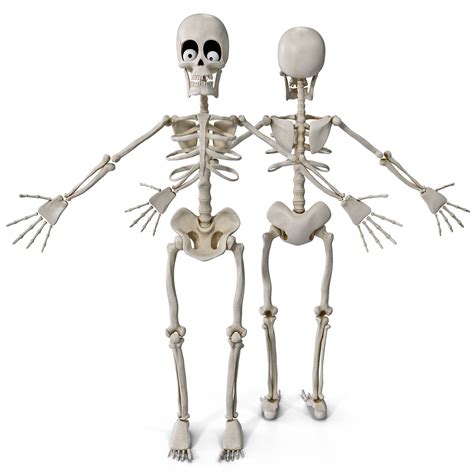 3d Cartoon Skeleton