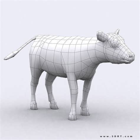 drt calf  model game ready animated rigged cgtradercom