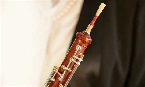oboe reed phamox