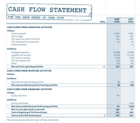 essence  cash flow statement   features
