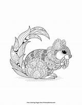 Squirrel Zentangle Waldtiere Ebook Ausmalen Primarygames Kostenlose Ausmalvorlagen Erwachsene Malvorlage Druckbares Erwachsenen Colouring sketch template